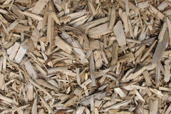 biomass boilers Talog